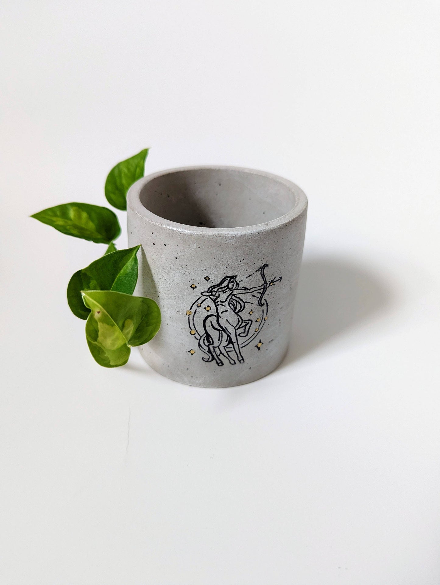 Zodiac Horoscope Handrawn Concrete Planter
