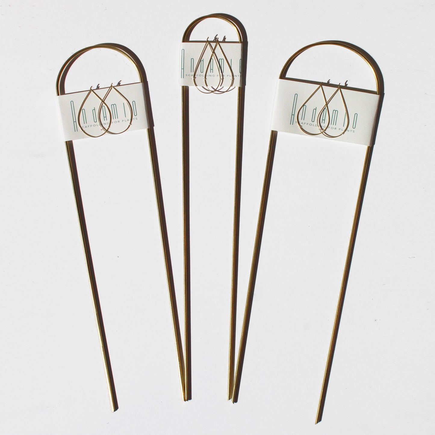 Andamio Brass Plant Pins and Trellis
