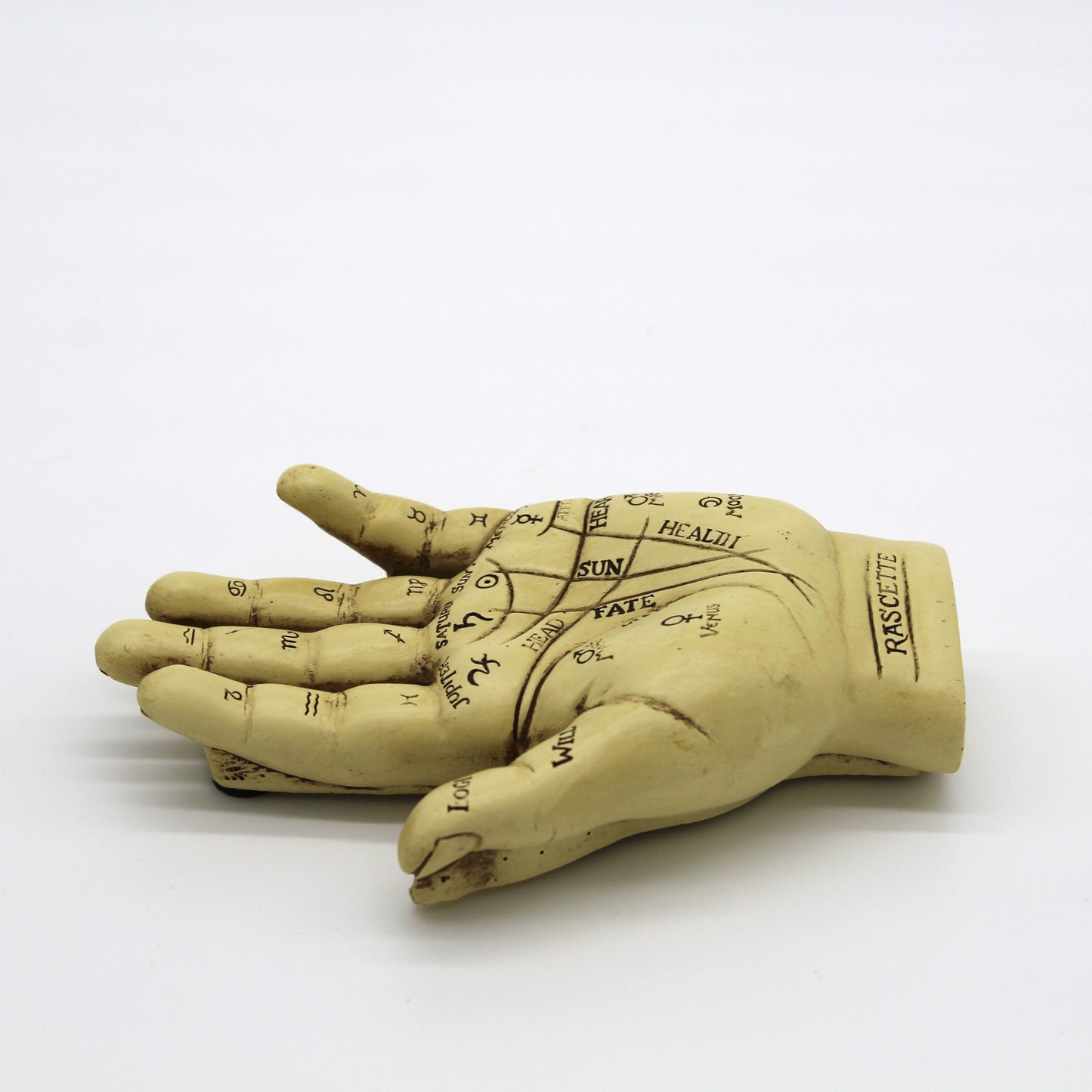 Vintage Palmistry Statue