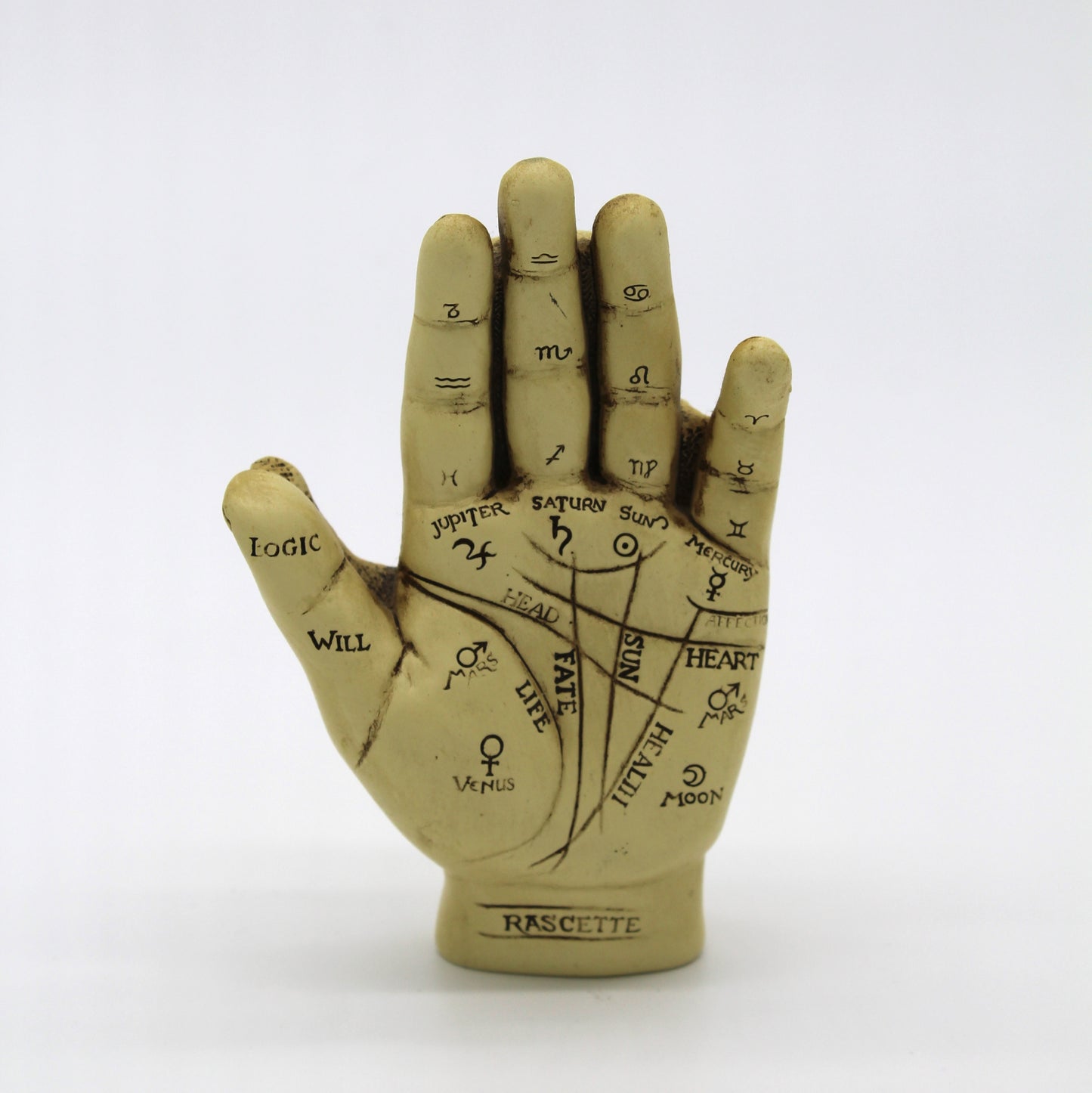 Vintage Palmistry Statue
