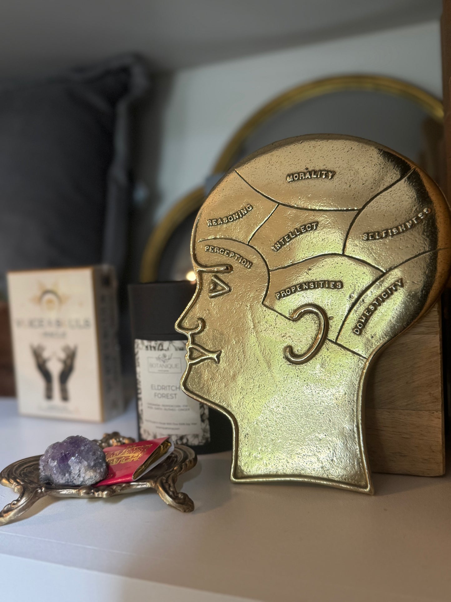 Vintage Brass Phrenology Plate