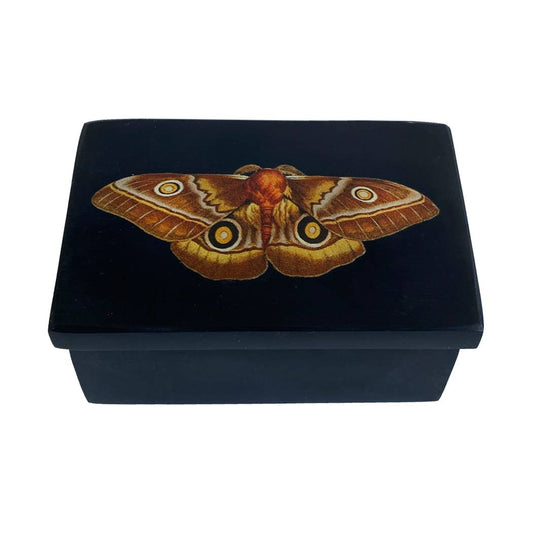 Black jewelry box with moth on lid on white background.