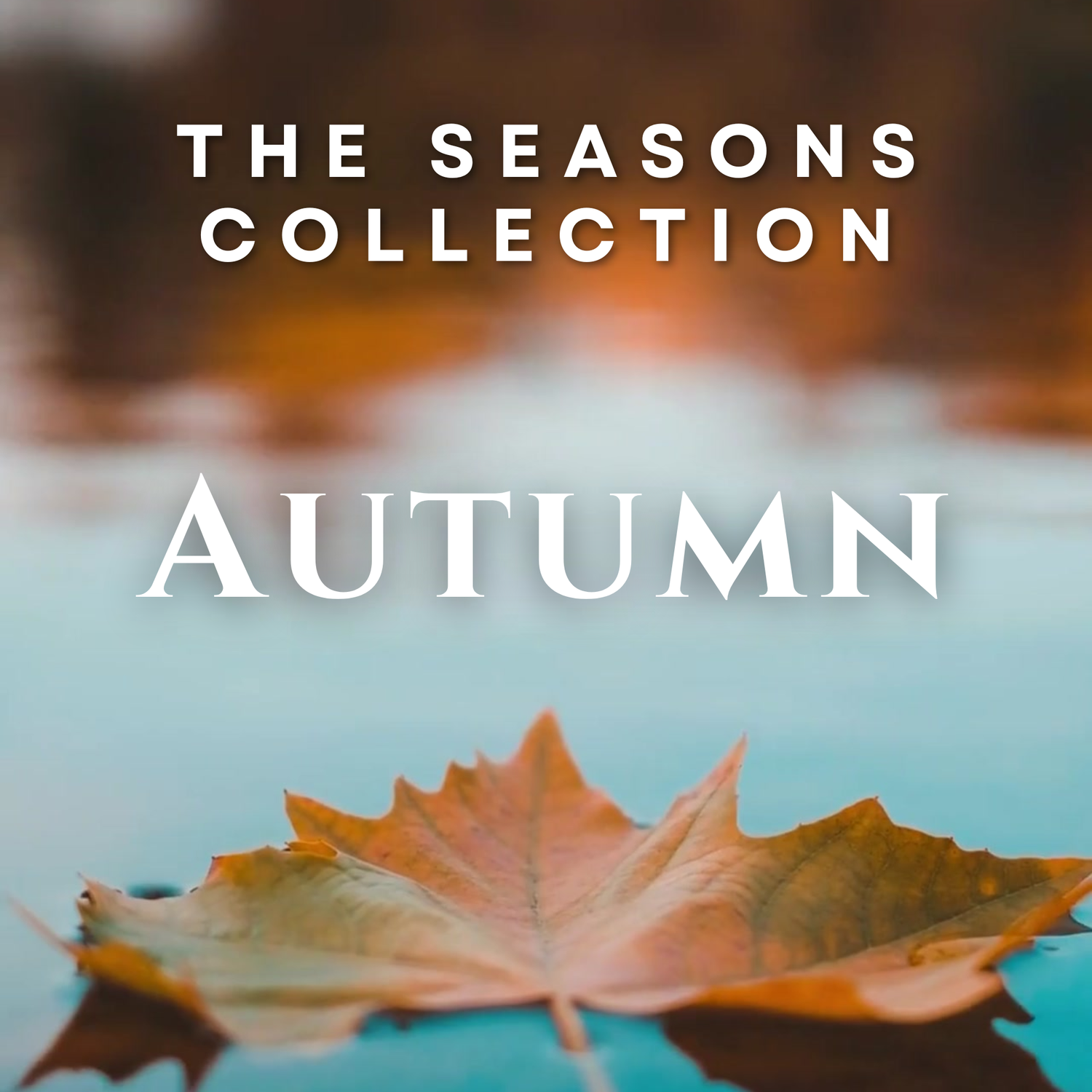 The Seasons