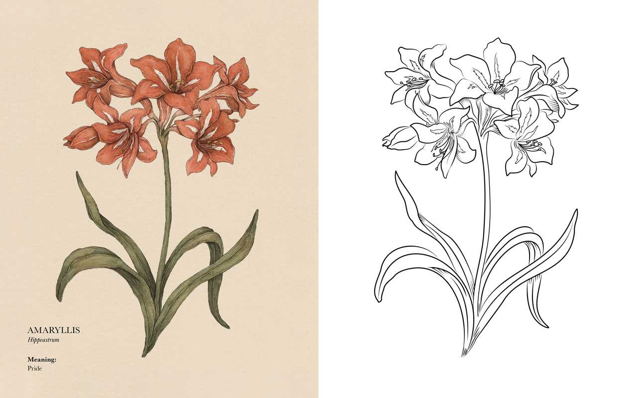 Floriography Coloring Book by Jessica Roux