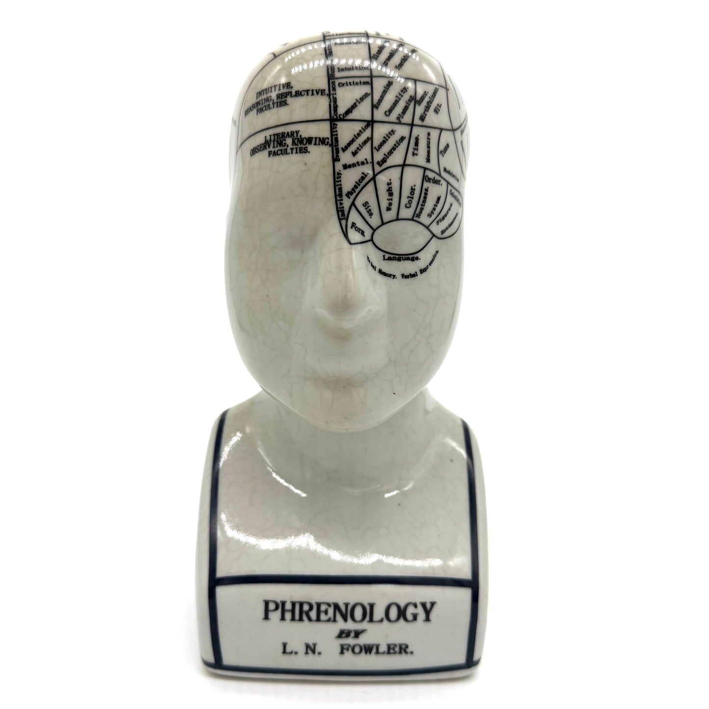 Phrenology Bust by L.N. Fowler