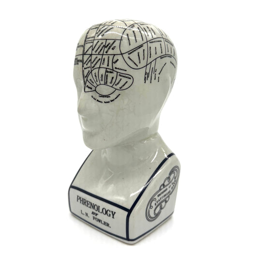 Phrenology Bust by L.N. Fowler