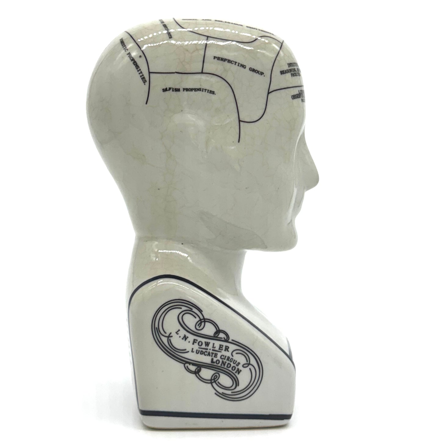 Phrenology Bust by L.N. Fowler