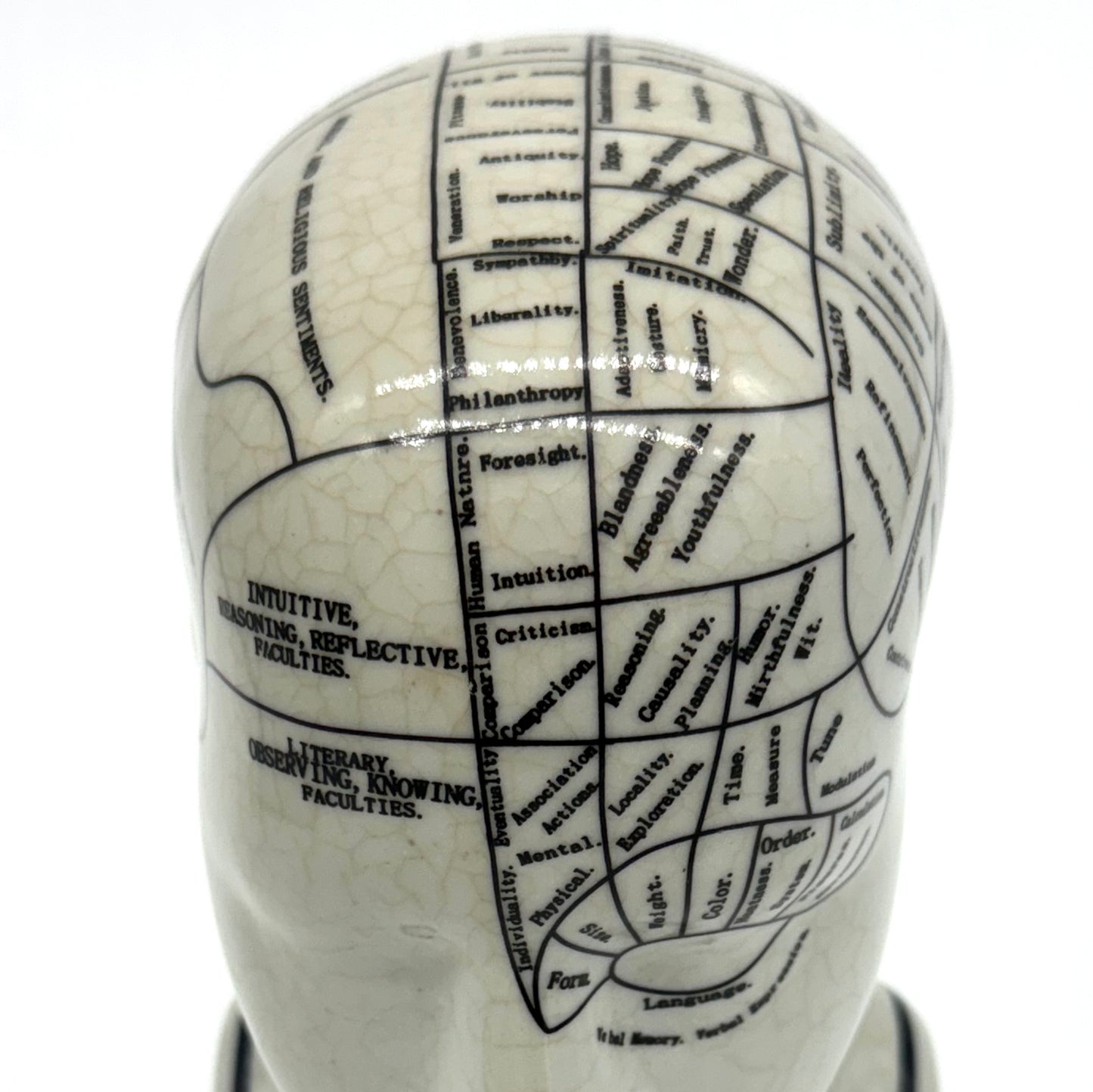 Phrenology Bust by L.N. Fowler