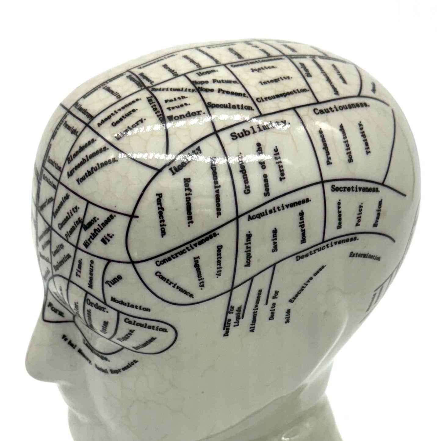 Phrenology Bust by L.N. Fowler