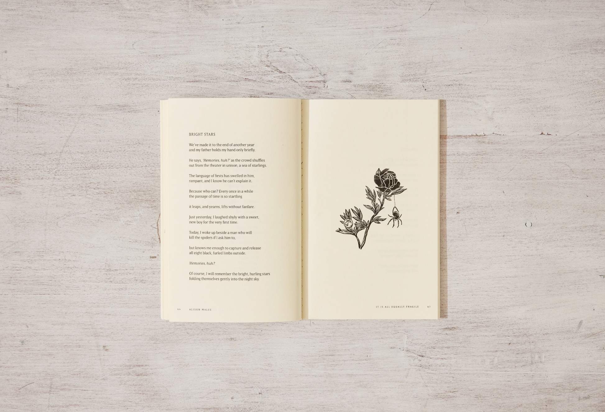 Open book with a floral illustration on a wooden surface