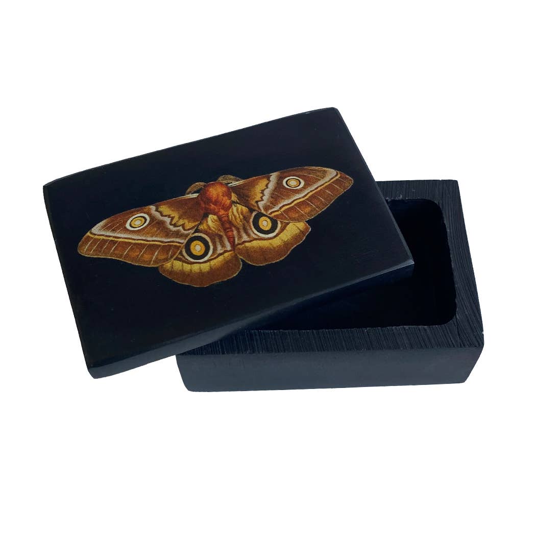Black jewelry box with a butterfly design on a white background with lid askew.