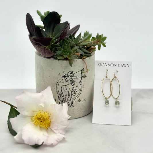 Ceramic planter with succulents, a white flower, and gold earrings with a faceted aqua on a 'Shannon Dawn' card with a light background.