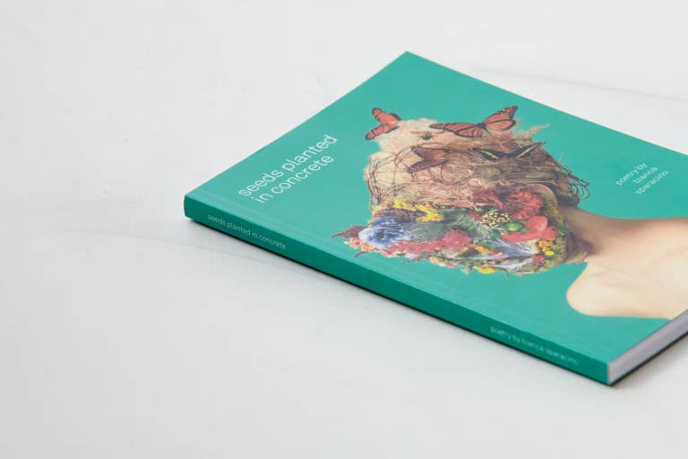 Book with a colorful cover featuring a cat and flowers on a white background