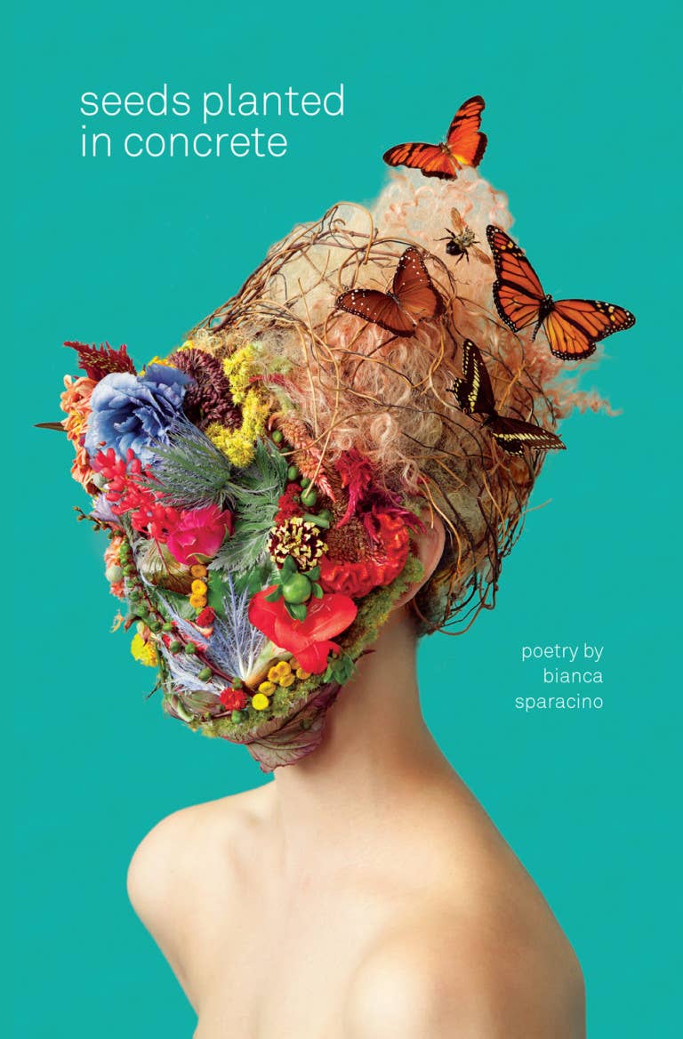Book cover with a colorful headpiece and butterflies against a teal background
