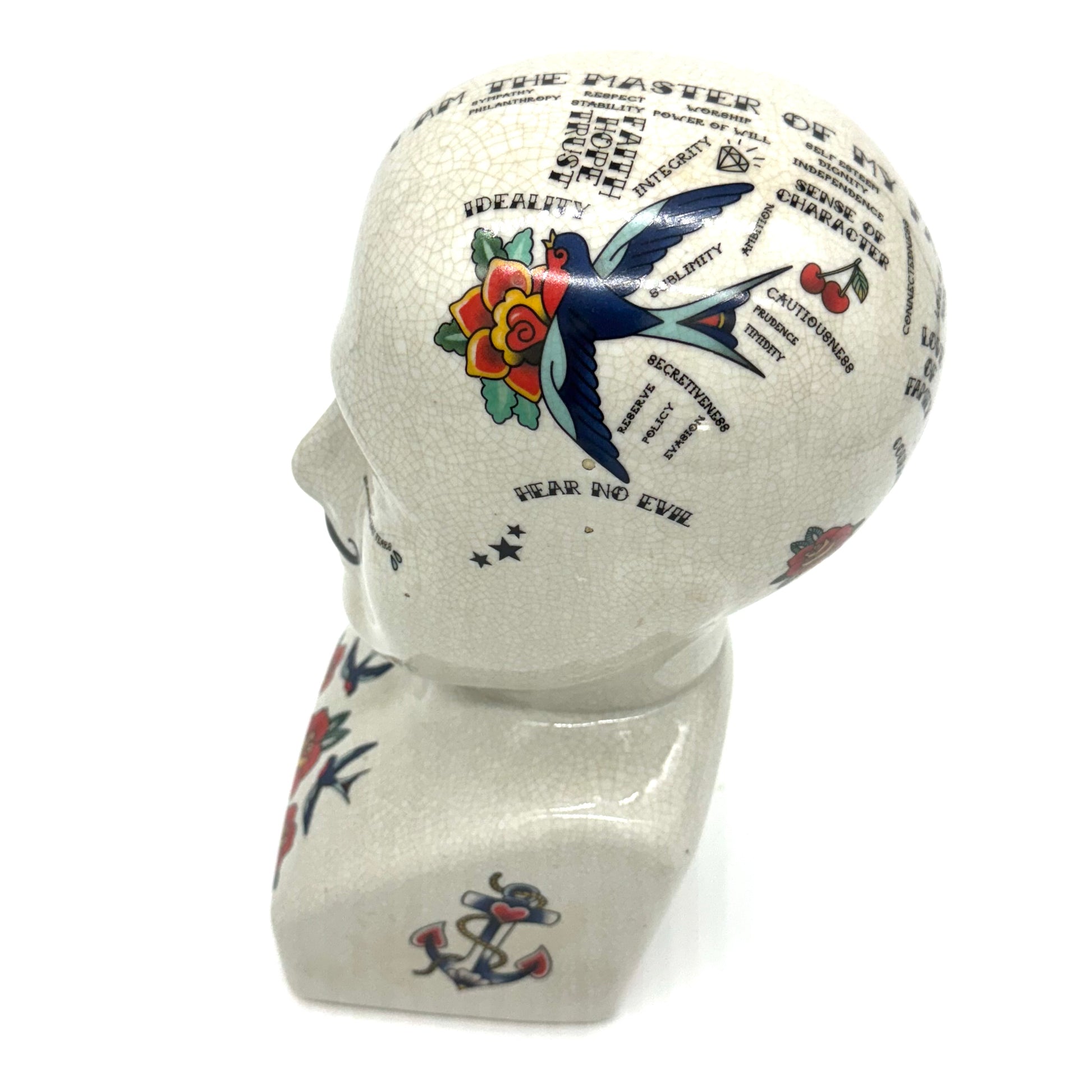 Decorative skull with tattoo-style designs on a white background