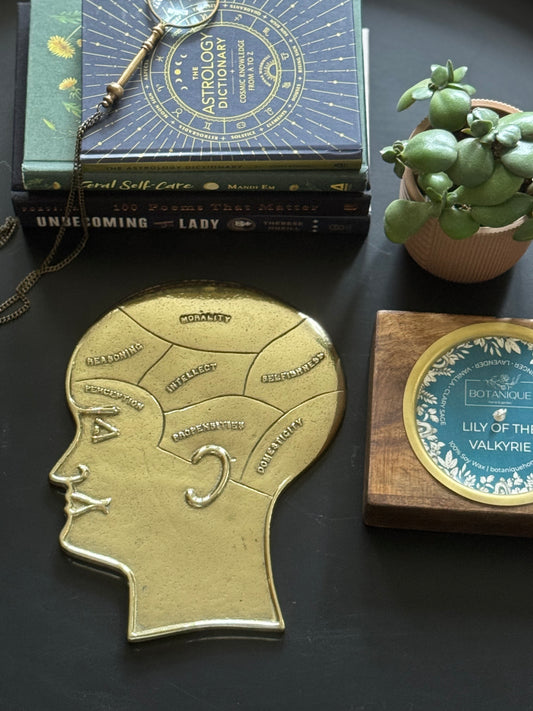 Vintage Brass Phrenology Plate