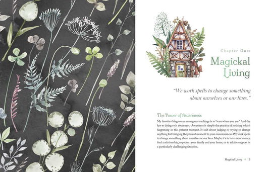 The Witch's Apothecary by Lorriane Anderson